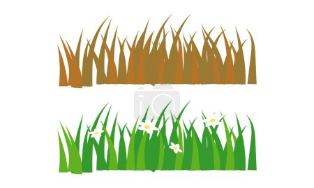 Vector de dibujos animados hierba verde pradera con flores, hierbas y espigas orejas. primavera jardín césped horizontales fronteras