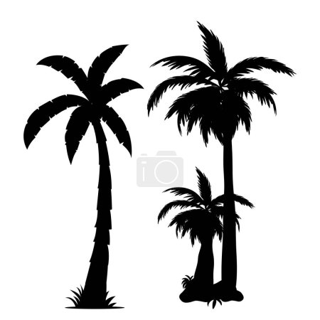 Téléchargez les illustrations : Silhouette vectorielle de palmier sur blanc - en licence libre de droit