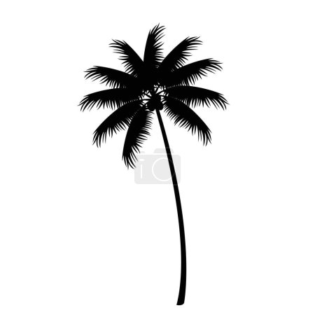 Téléchargez les illustrations : Silhouettes vectorielles de palmiers sur blanc - en licence libre de droit