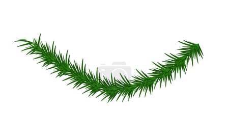 Vector pino rama navidad guirnalda verde abeto ramita