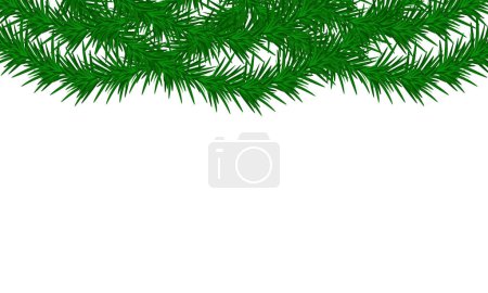 Vector pine tree branch border green fir twigs frame
