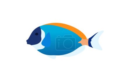 Vektor bunte Fische minimalistisches Tier-Design Ozean Fische schwimmen im Wasser flachen Vektor