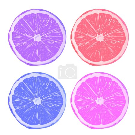 Vector colorful slice fruits halves realistic icons isolat