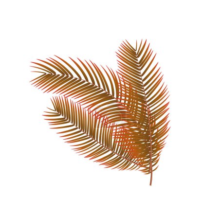 Téléchargez les illustrations : Ensemble isolé de feuilles de palmier brun tropical vecteur - en licence libre de droit