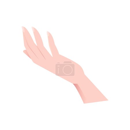 Vector caucasian female hand with open hand presenting hand vector