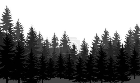 Illustration for Vector pine trees silhouettes evergreen coniferous forest silhouette nature spruce tree park view vector - Royalty Free Image