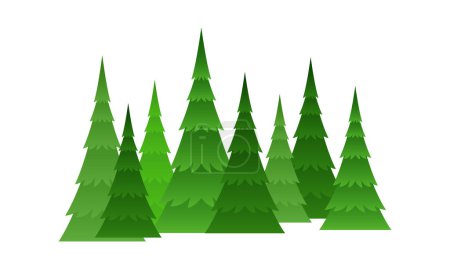 Vector aisló varios árboles de bosque y navidad en blanco