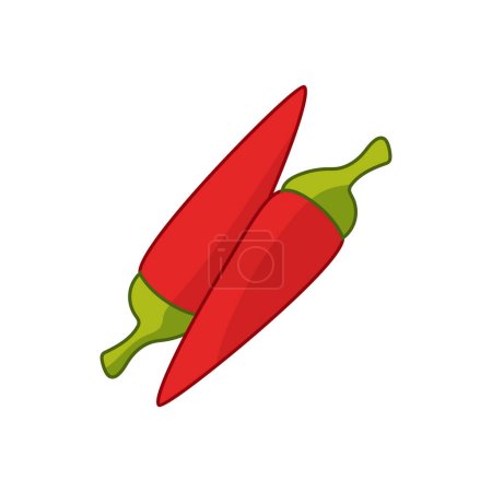 vector fresh chilli vegetable on white background