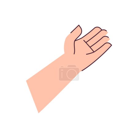 Vector hand holding gesture on white background