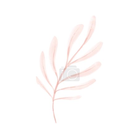 Illustration for Vector hand drawn watercolor plant - Royalty Free Image