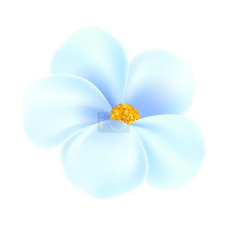 Ilustración de Vector floreciendo flores de primavera sobre fondo blanco - Imagen libre de derechos