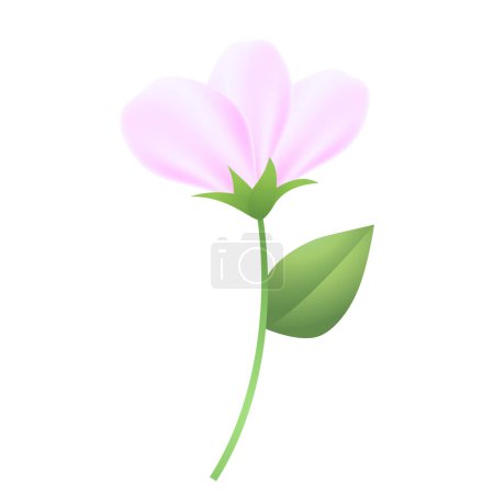 vector blooming spring flowers on white background