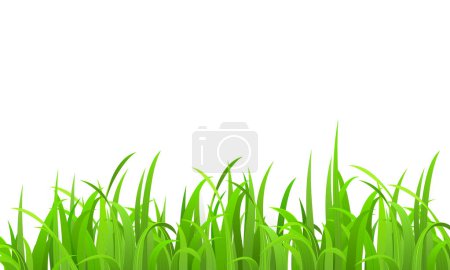 vector realista hierba ilustración fondo