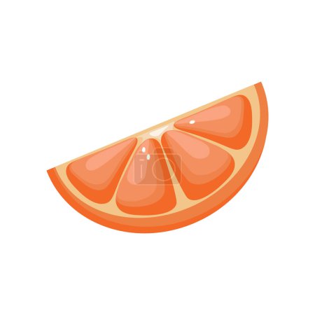 vector citrus fruits orange, lime, grapefruit and lemon