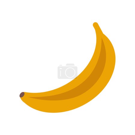 vector fresh banana fruit healthy on white background