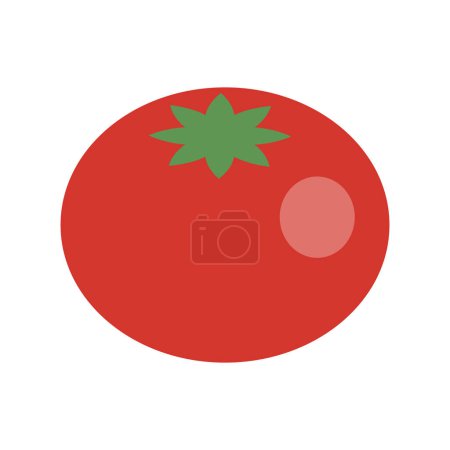 vector de tomate fresco vegetal sobre fondo blanco