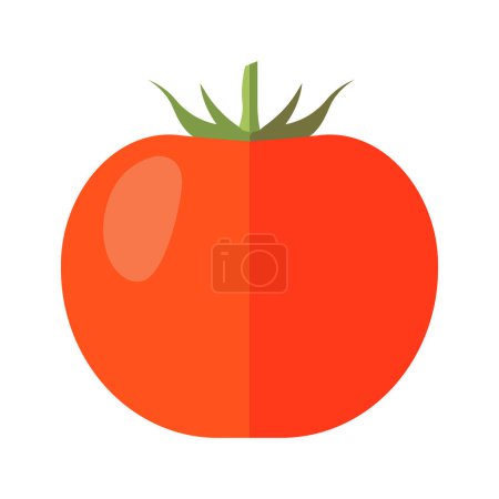 vector de verduras de tomate fresco en blanco