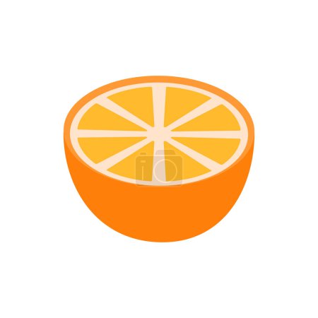 Vektor Orange Zitrusfrüchte frisch Symbol isoliert Design