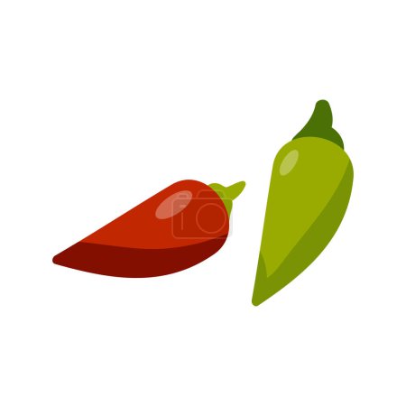 Vector chili pepper isolated on white background