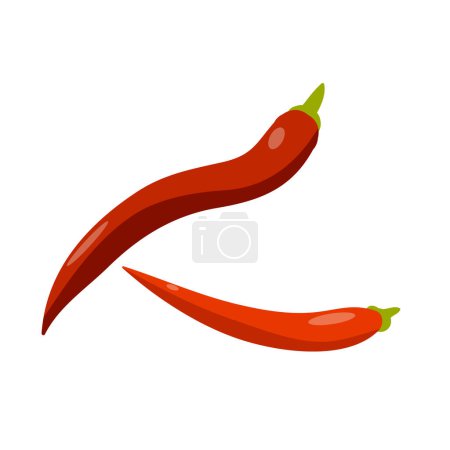 vector chilli pepper ingredient on white background