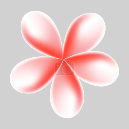 Vector plumeria tropical flower illustration on white background