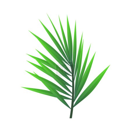 vecteur feuille de palmier tropical isolé sur fond blanc réaliste vert été plante vecteur illustration