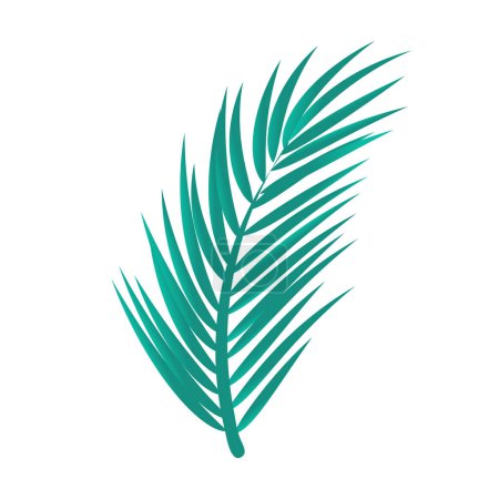 Téléchargez les illustrations : Illustration vectorielle des feuilles de palmier vecteur isolé - en licence libre de droit