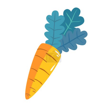 Karotte Gemüse Bio-Symbol isoliert auf weißem Hintergrund