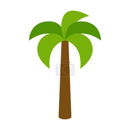Téléchargez les illustrations : Belle illustration de palmiers sur fond blanc - en licence libre de droit