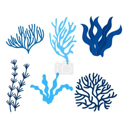 Téléchargez les illustrations : Algues marines sur fond marin concept macroalgues collection isolée - en licence libre de droit