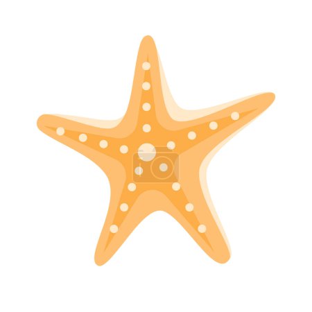 estrella de mar tropical animal icono sobre fondo blanco