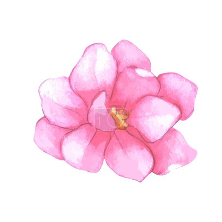 Ilustración de Acuarela flor ilustración sobre un fondo blanco - Imagen libre de derechos