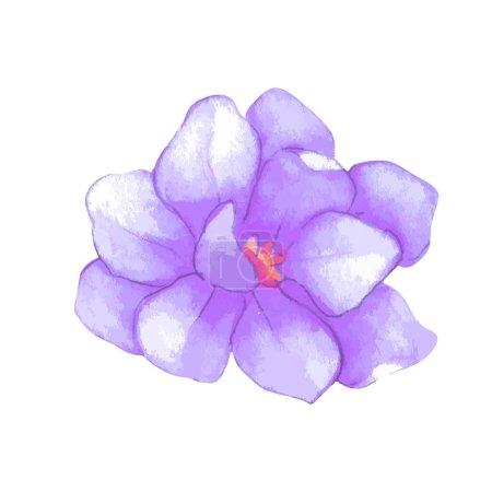 Ilustración de Acuarela flor ilustración sobre fondo blanco - Imagen libre de derechos