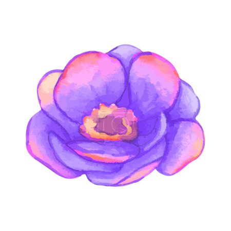 Ilustración de Acuarela flores ilustración sobre un fondo blanco - Imagen libre de derechos