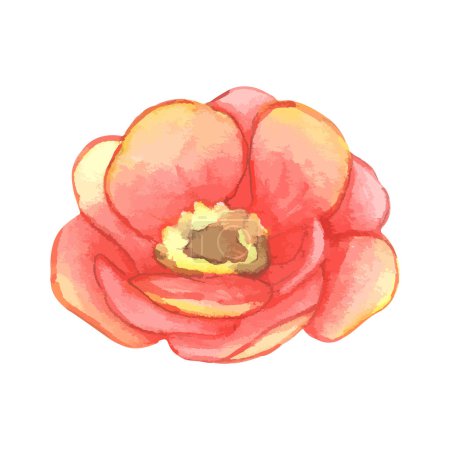 Ilustración de Acuarela flores ilustración sobre fondo blanco - Imagen libre de derechos