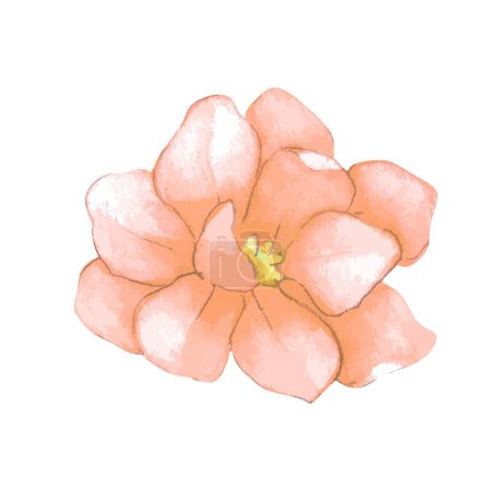 Ilustración de Acuarela flores sobre fondo blanco - Imagen libre de derechos