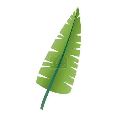 hand drawn palm leave illustration on white background