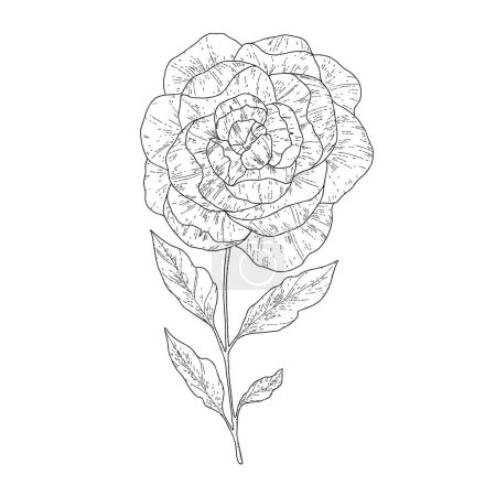 Handgezeichnete einfache Blütenumrandung auf Weiß