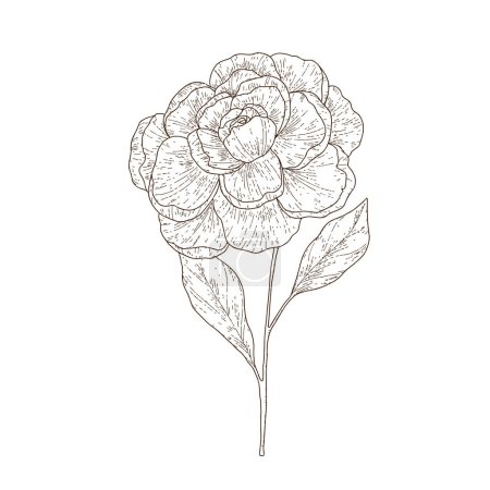 Handgezeichnete einfache Blume Umriss
