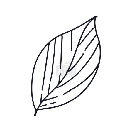 Aesthetic decorative line art illustration of leaf floral on a white