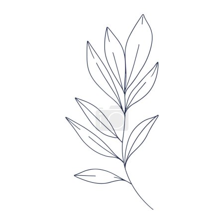 Aesthetic decorative line art illustration of leaf floral on a white background