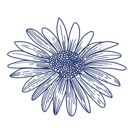 Aesthetic decorative line art illustration of leaf floral on white background