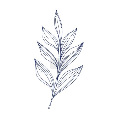 Aesthetic decorative line art illustration of leaf floral