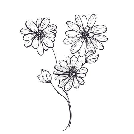 Hand drawn simple flower outline illustration on a white