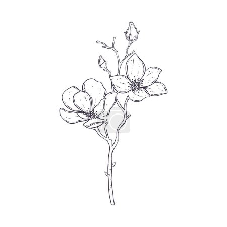Hand drawn simple flower outline illustration on white