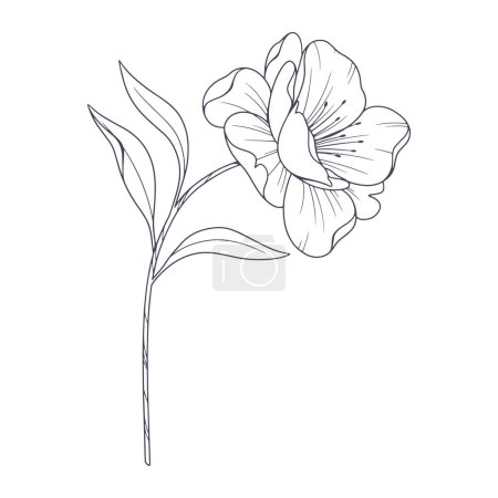 Hand drawn simple flower outline on white