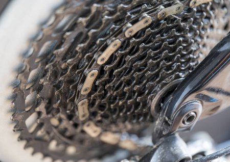 Photo for Detail of twelve speed cassette with chain. On a mountain bike. Blurred background. - Royalty Free Image