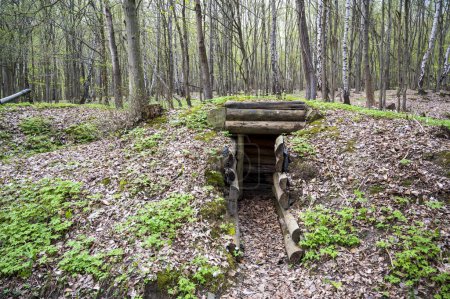 Foto de Antiguo búnker de madera de la Segunda Guerra Mundial bajo tierra en el bosque. - Imagen libre de derechos