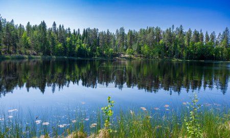 Foto de Lago en bosque verde con cielo azul - Imagen libre de derechos
