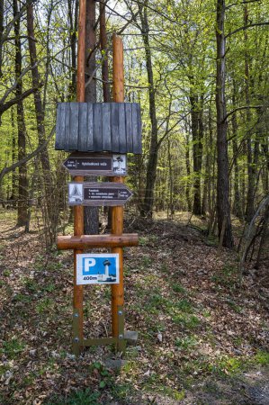 Téléchargez les photos : Panneaux directionnels sur poteaux en bois dans une forêt dense. - en image libre de droit